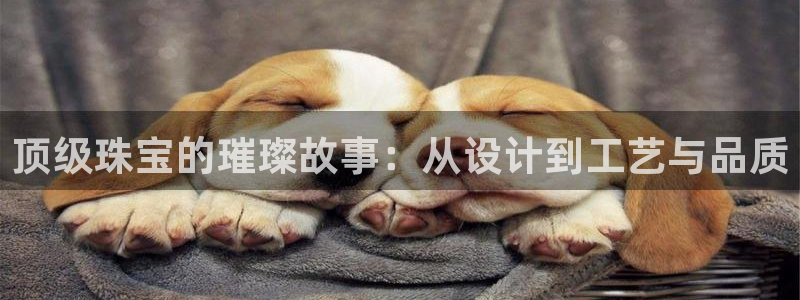 天宏娱乐登录网址