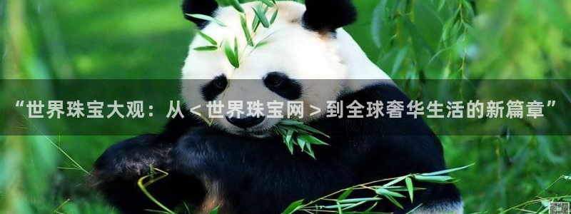 天宏娱乐平台登陆
