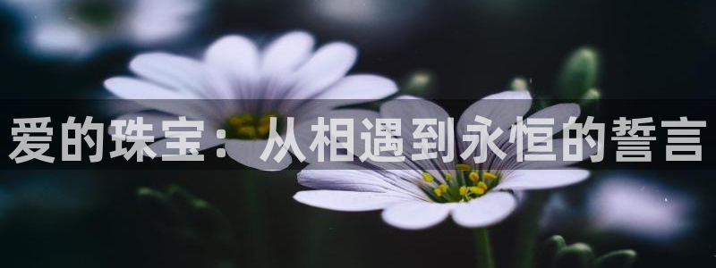 天宏娱乐老秦