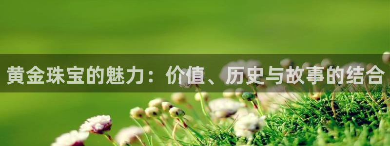 西安天宏娱乐团在哪