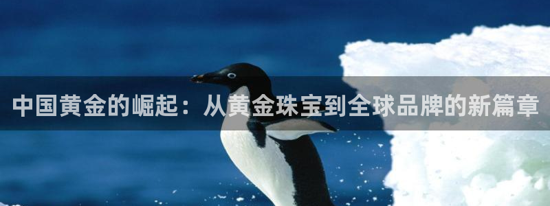 天宏娱乐直播在线观看高清