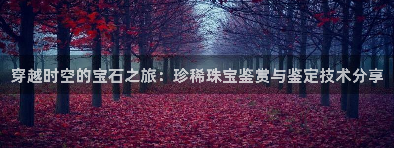 天宏娱乐小号是什么
