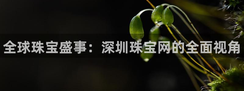 天宏娱乐总店电话多少