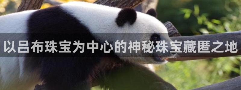 天宏娱乐会所