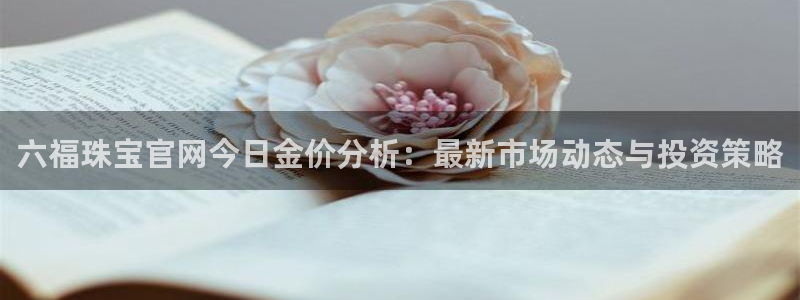 天宏娱乐石叔是谁
