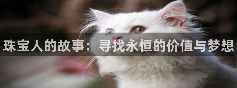 天宏娱乐老男孩吴叔