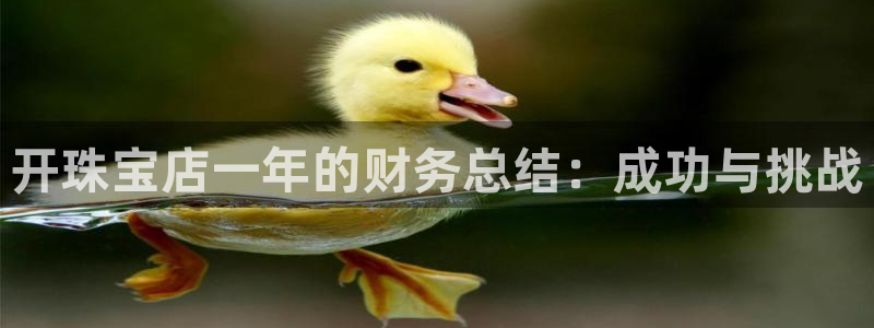 天宏娱乐集团代理