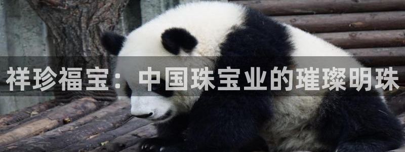天宏娱乐涛涛