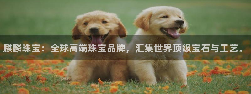 天宏娱乐老男孩董叔