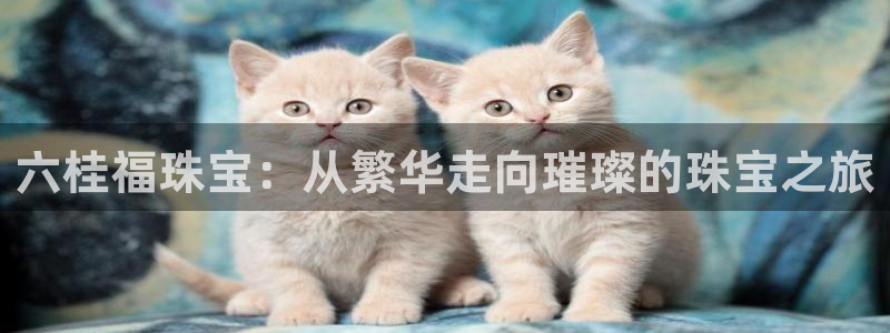 天宏娱乐豆豆
