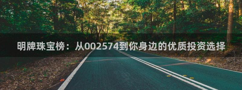 天宏娱乐宋善良