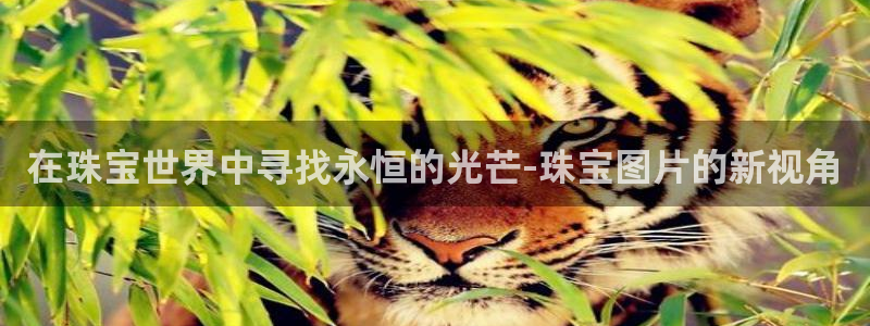 天宏娱乐q34189