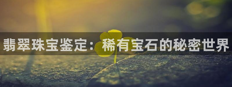 天宏娱乐有限公司
