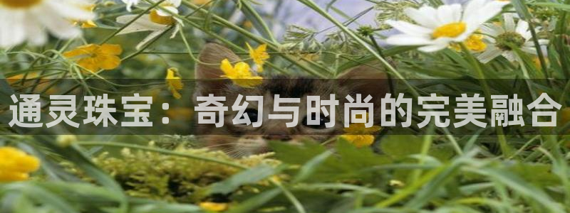 宏天广场娱乐