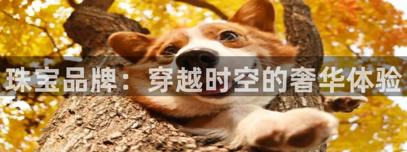 天宏娱乐无限团：珠宝品牌：穿越时空的奢华体验