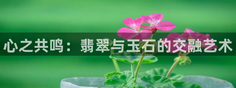 天亿娱乐宏发团队招聘