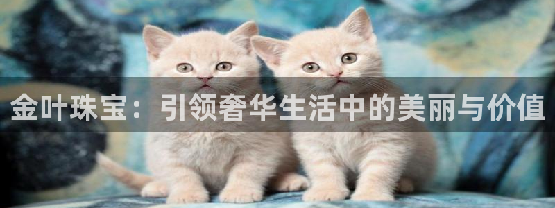 天宏娱乐杨叔