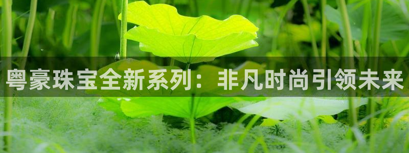 天宏娱乐开业晚宴