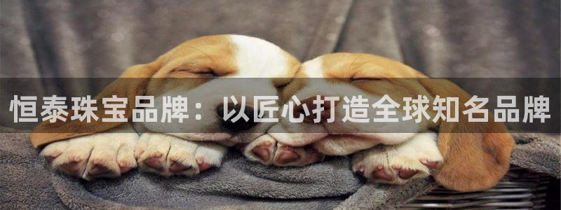 天宏娱乐丨金手指17