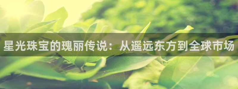 天宏娱乐登入