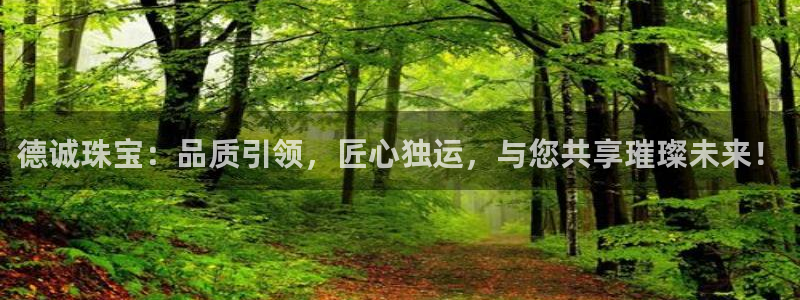 天宏娱乐韩叔