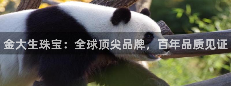 天宏娱乐地址查询