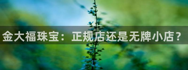 天宏娱乐指尖会