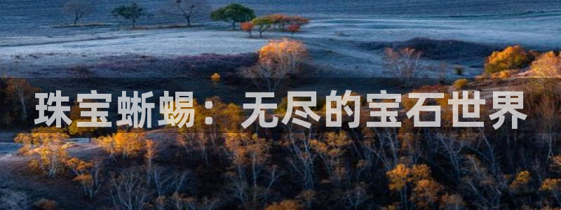 天宏娱乐e OO判官