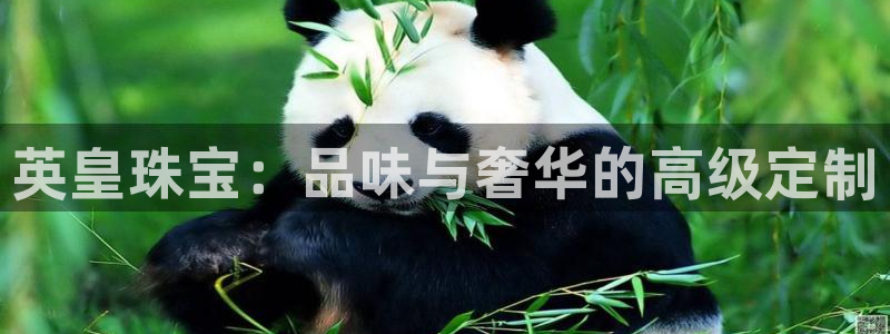 天宏娱乐天跃传媒招聘
