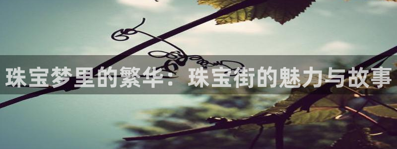 天宏娱乐河源店电话