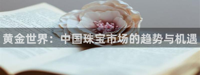 天宏娱乐会所电话