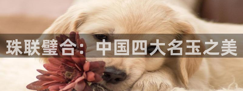 天宏2娱乐主管