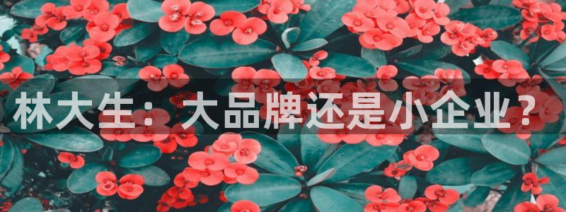 天宏娱乐河源店地址查询