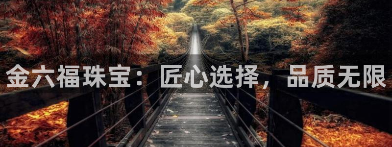 天宏娱乐注册：金六福珠宝：匠心选择，品质无限