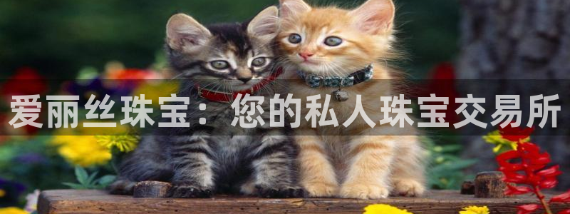 天宏娱乐宝叔是谁：爱丽丝珠宝：您的私人珠宝交易所
