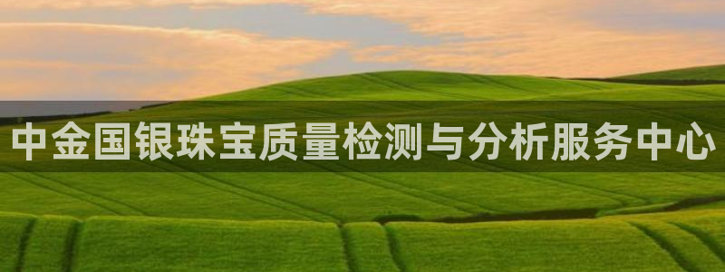 天宏娱乐网站彩票：中金国银珠宝质量检测与分析服务中心
