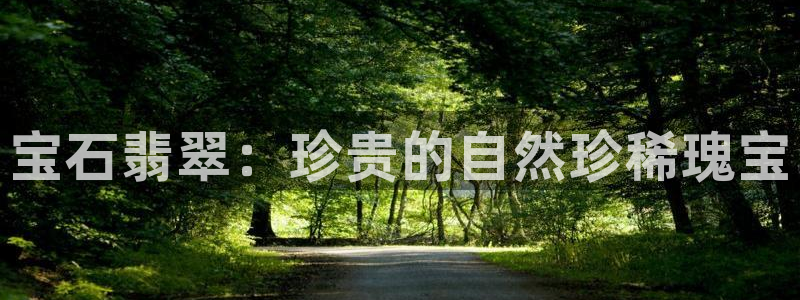 河源天宏娱乐是骗局吗：宝石翡翠：珍贵的自然珍稀瑰宝