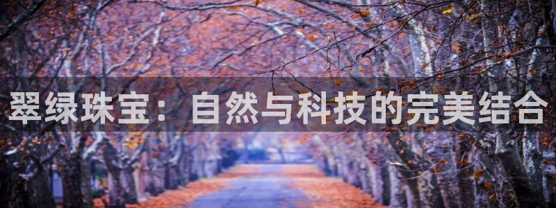 天宏娱乐石叔是谁