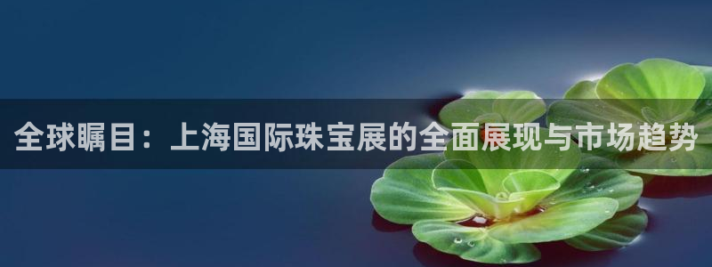 天宏娱乐何33300：全球瞩目：上海国际珠宝展的全面展现与市