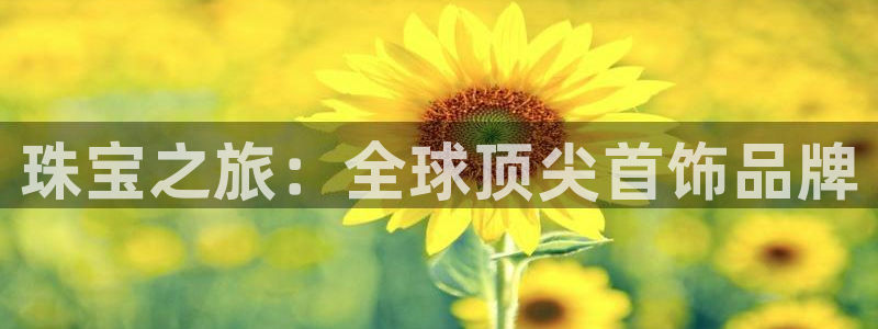 天宏娱乐指尖会