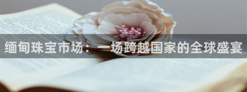 天宏娱乐app 下载：缅甸珠宝市场：一场跨越国家的全球盛宴