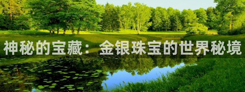 裕宏娱乐林天俊简介