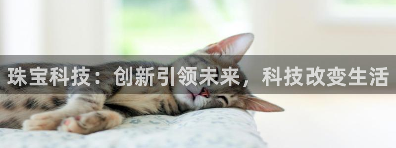 天宏娱乐招商主管：珠宝科技：创新引领未来，科技改变生活