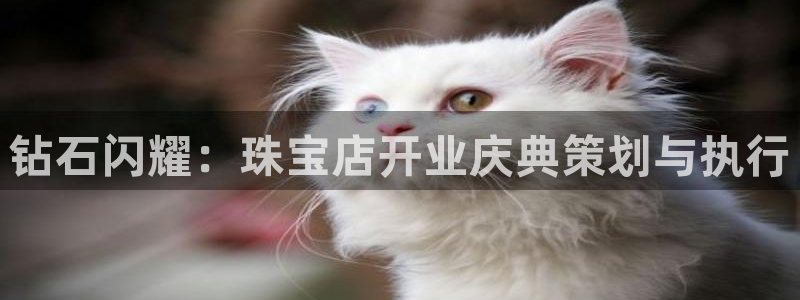 天宏娱乐首页：钻石闪耀：珠宝店开业庆典策划与执行