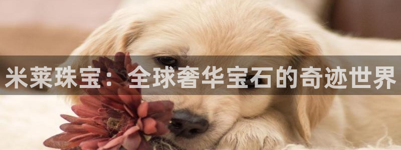 天宏娱乐总店电话：米莱珠宝：全球奢华宝石的奇迹世界