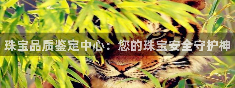 天宏娱乐app平台怎么下载
