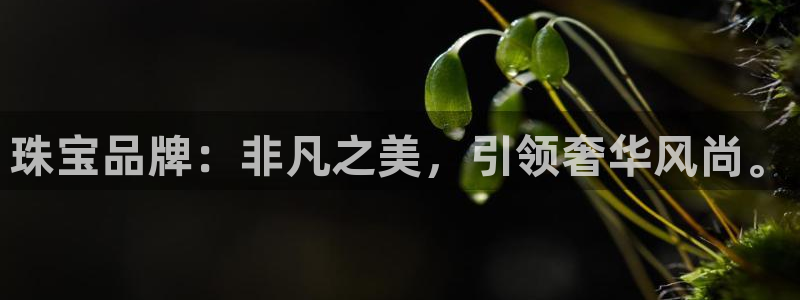 天宏娱乐刘叔：珠宝品牌：非凡之美，引领奢华风尚。
