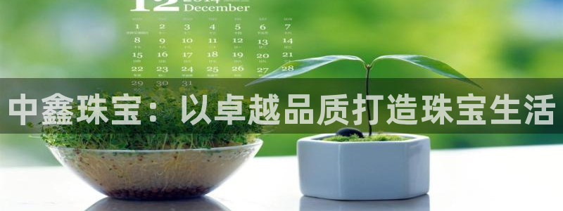 天宏娱乐大叔团成员