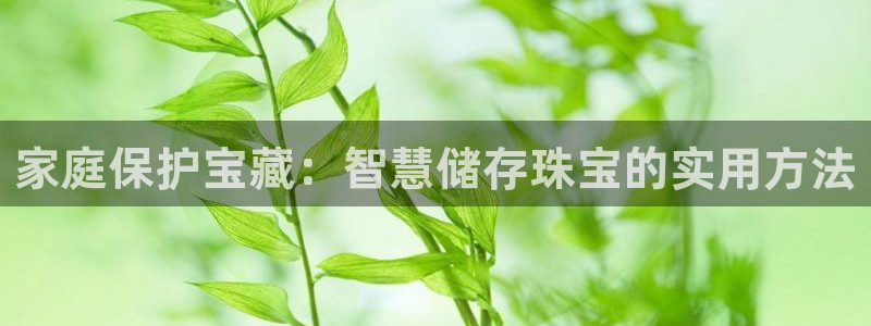天宏娱乐大叔团队介绍图片：家庭保护宝藏：智慧储存珠宝的实用方