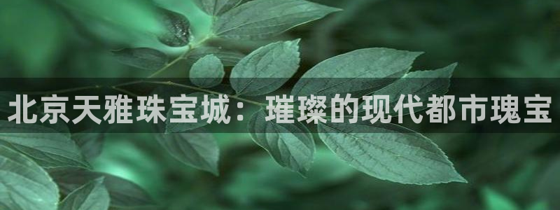 天宏娱乐818